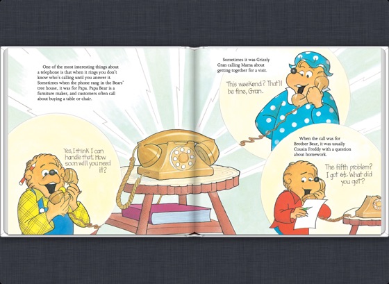 ‎The Berenstain Bears And The Slumber Party On Apple Books