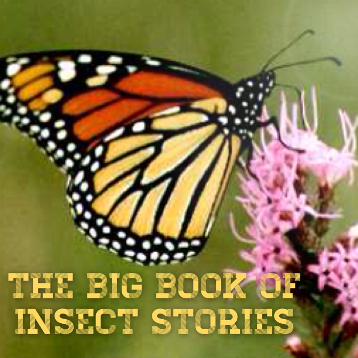 Big Book of Insect Stories