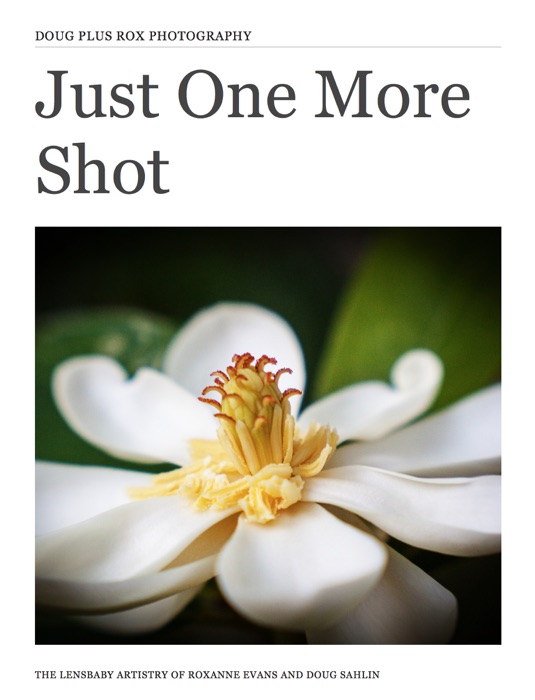Just One More Shot