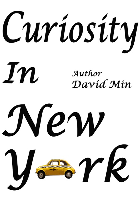 Curiosity In New York