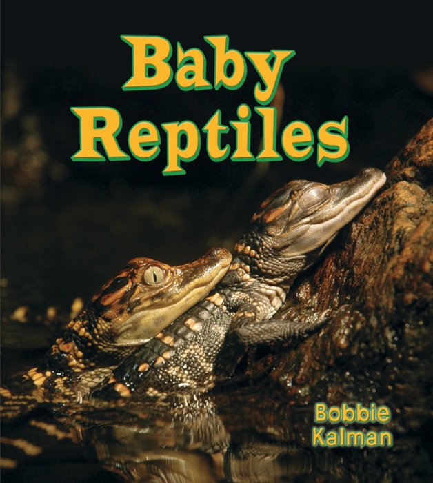 Baby Reptiles