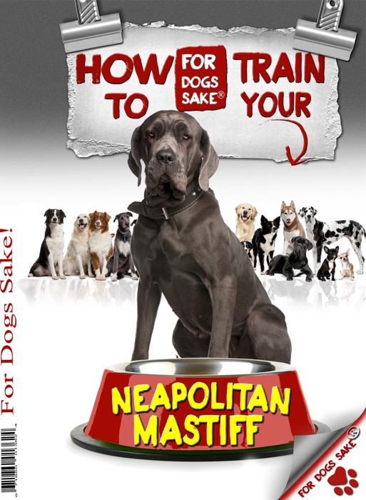 How to Train your Neapolitan Mastiff