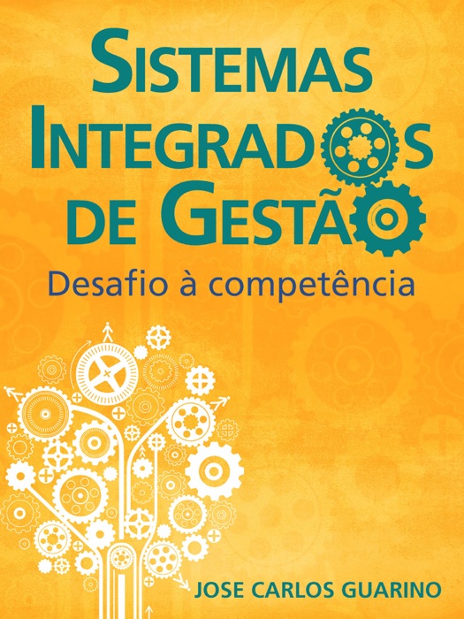 Sistemas integrados de gestão: desafio à competência