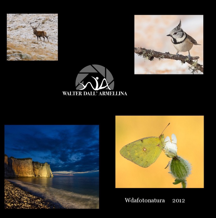 Wdafotonatura 2012