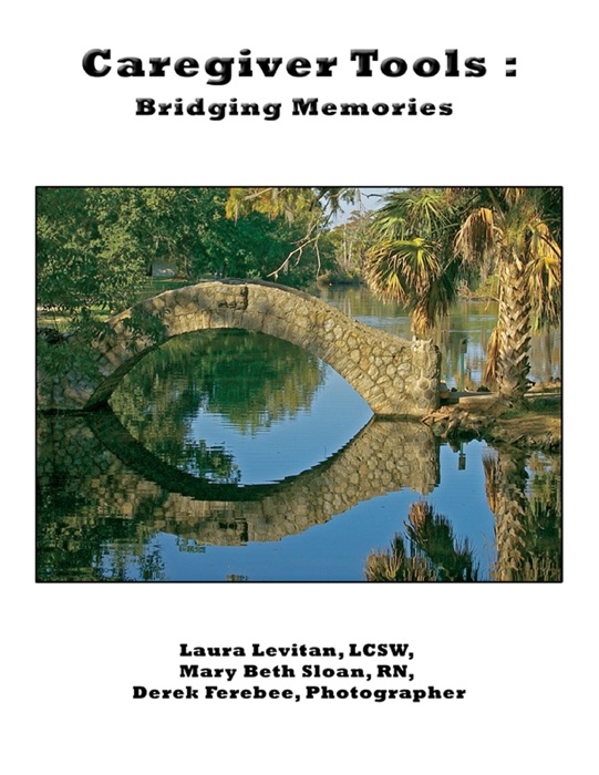 Caregiver Tools: Bridging Memories