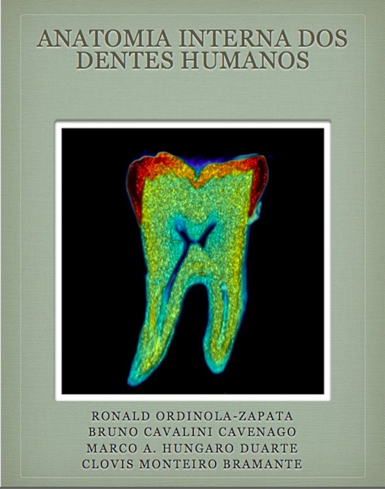 Anatomia interna dos dentes humanos