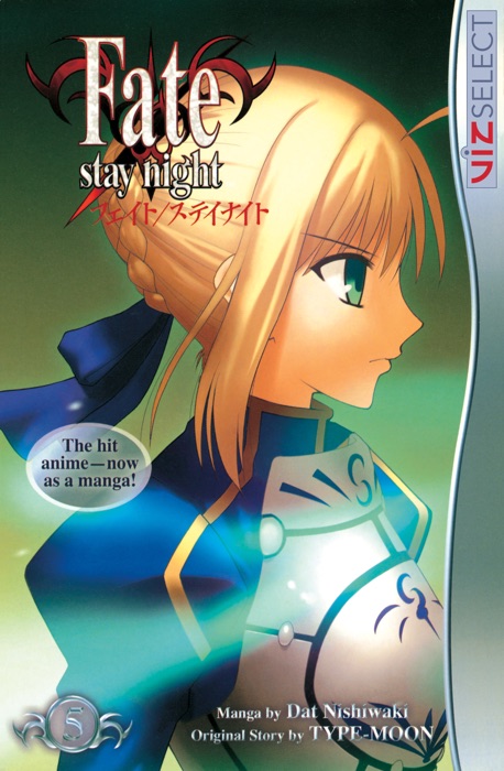 Fate/stay night, Vol. 5