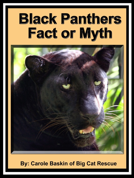 Black Panthers Fact or Myth