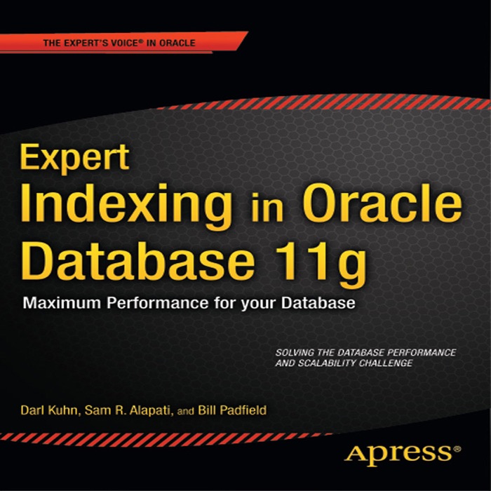 Expert Indexing in Oracle Database 11g