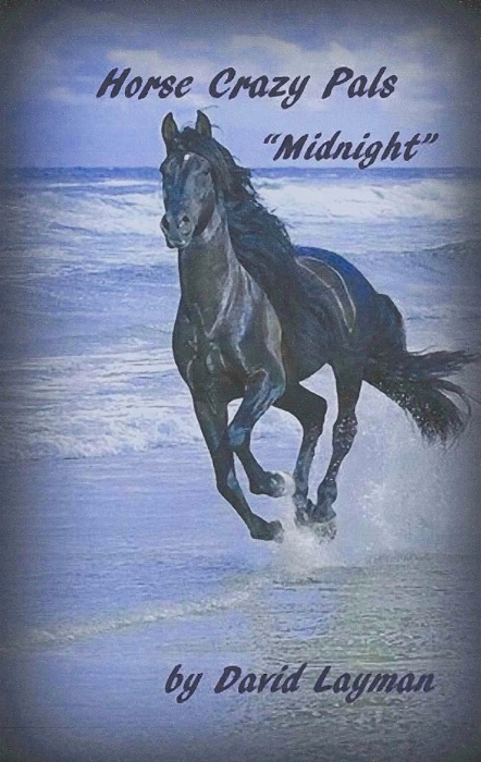 Crazy Horse Pals: Midnight