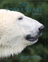The Polar Bears of Seaworld Australia