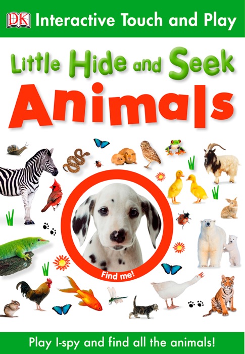 Little Hide and Seek: Animals (Enhanced Edition)