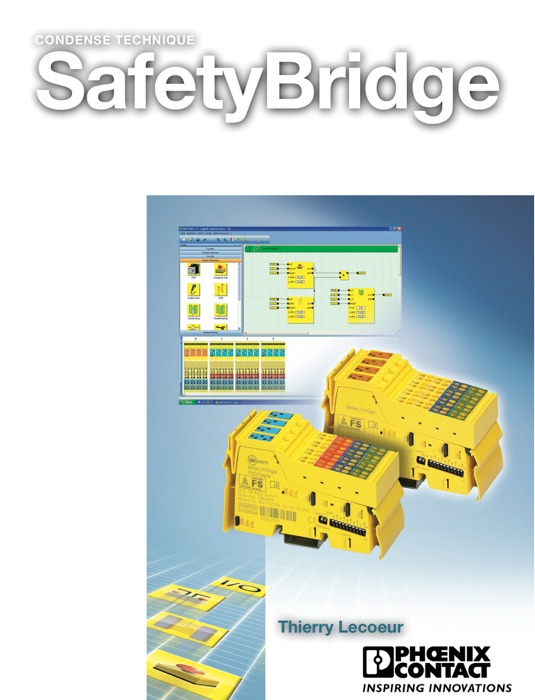 SafetyBridge, the Book