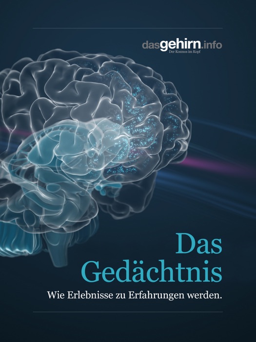 Das Gedächtnis