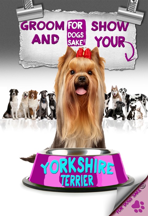 Groom and Show Your Yorkshire Terrier