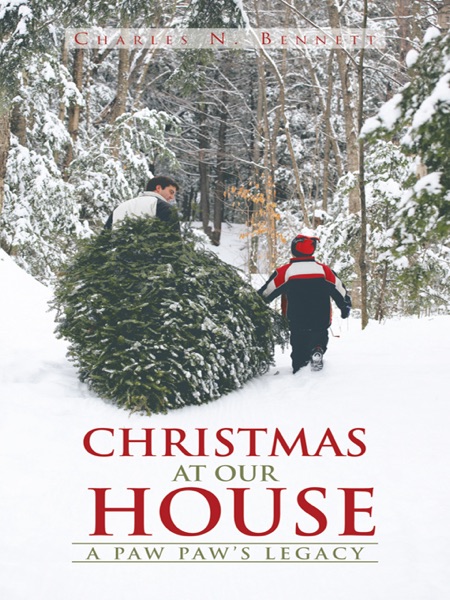 Christmas At Our House