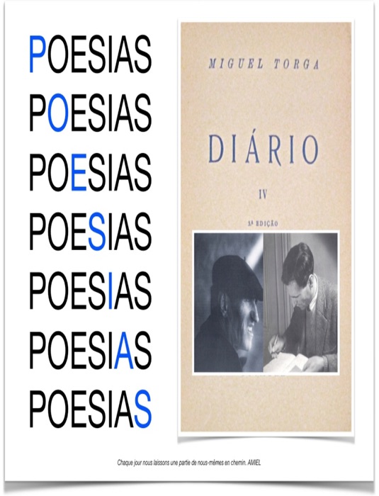 Poesias Diário IV