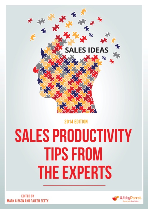 Sales Productivity Tips from the Experts 2014 Edition