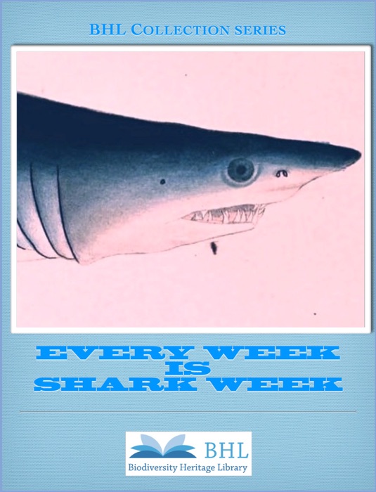 Every Week is Shark Week