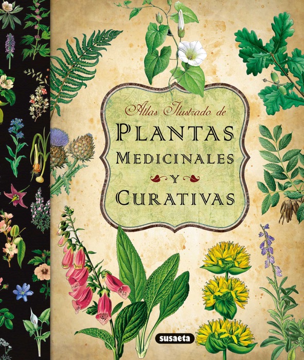 Plantas medicinales y curativas