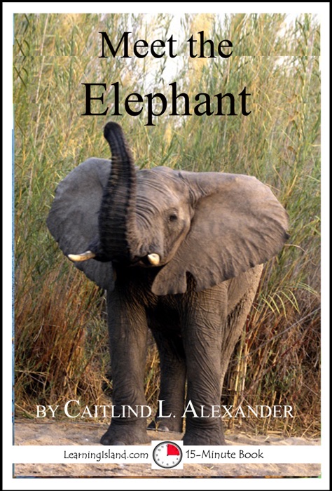 Meet the Elephant: A 15-Minute book for Early Readers