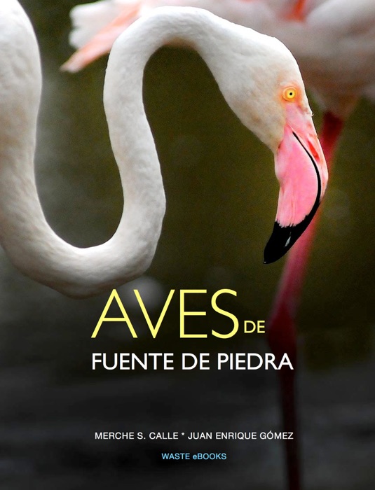 Aves de Fuente de Piedra