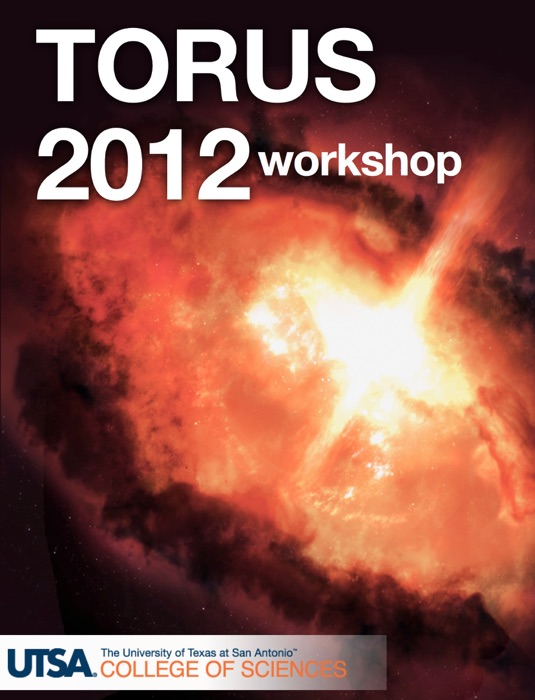 Torus Workshop 2012