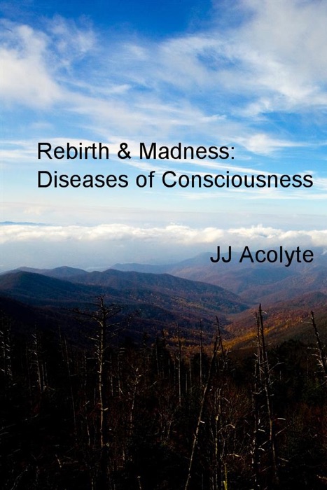 Rebirth & Madness: Diseases of Consciousness