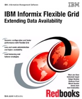 IBM Informix Flexible Grid: Extending Data Availability