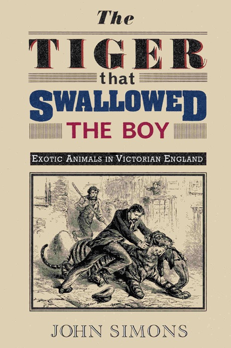 The Tiger That Swallowed the Boy