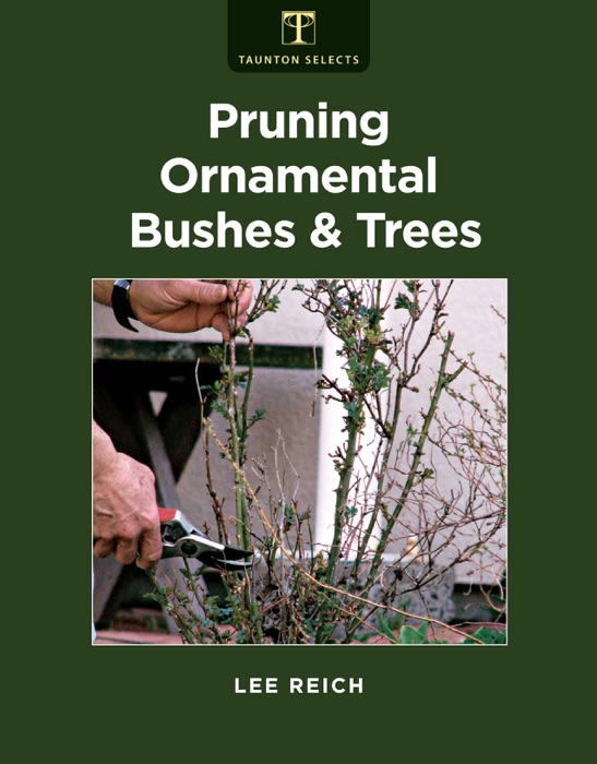 Pruning Ornamental Bushes & Trees