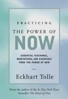 Eckart Tolle - Practicing the Power of Now artwork