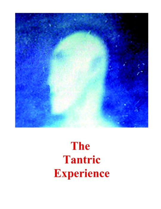 The Tantric Experience