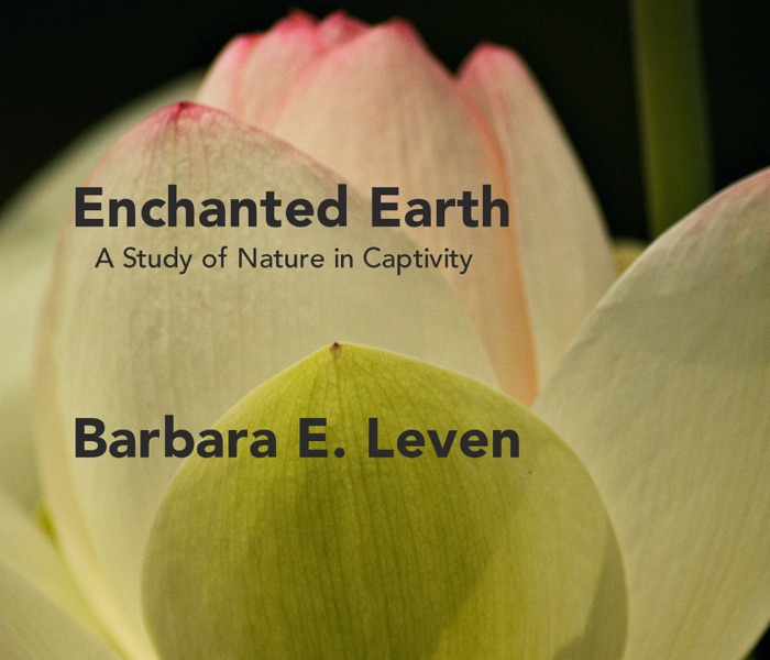 Enchanted Earth