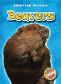 Beavers - Emily Green