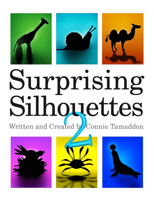 Surprising Silhouettes 2