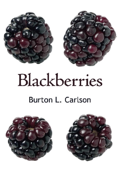 Blackberries