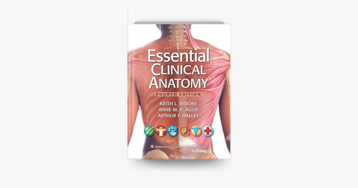 ‎Essential Clinical Anatomy: Fourth Edition on Apple Books