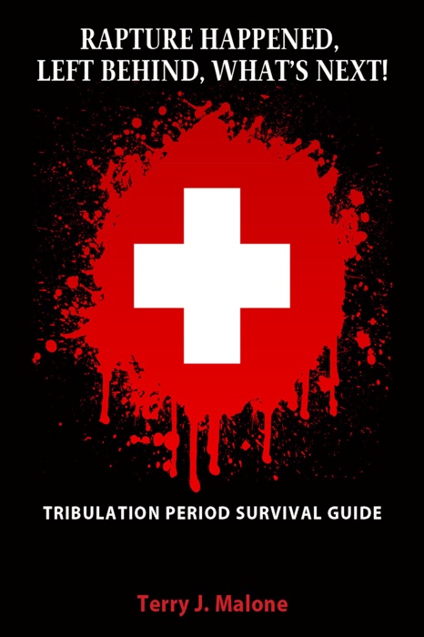 Rapture Happened, Left Behind, What's Next!: Tribulation Period Survival Guide