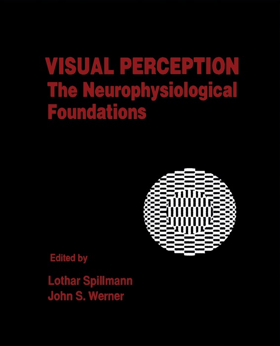 Visual Perception