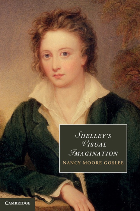 Shelley's Visual Imagination