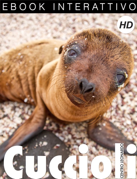 Cuccioli
