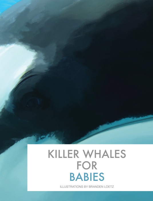 Killer Whales for Babies