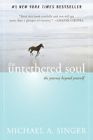 Michael A. Singer - The Untethered Soul artwork