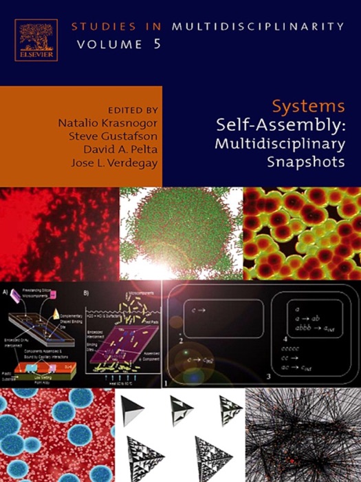 Systems Self-Assembly (Enhanced Edition)