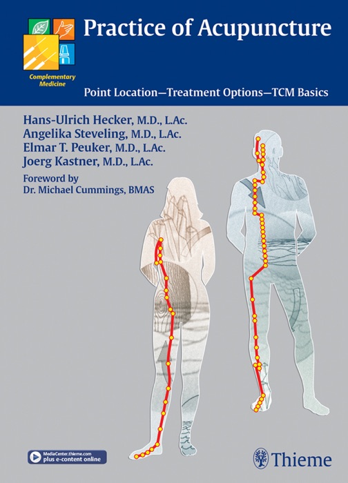 Practice of Acupuncture