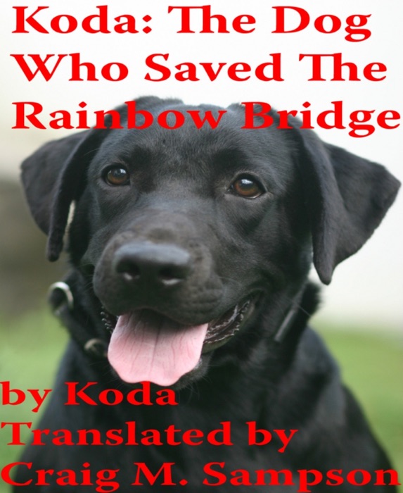 Koda: The Dog Who Saved the Rainbow Bridge