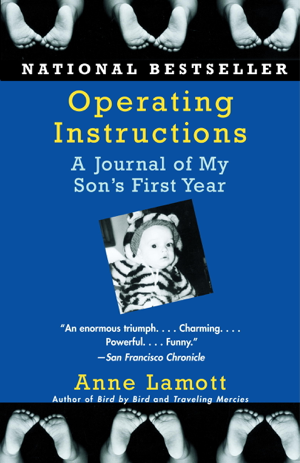 Read & Download Operating Instructions Book by Anne Lamott Online