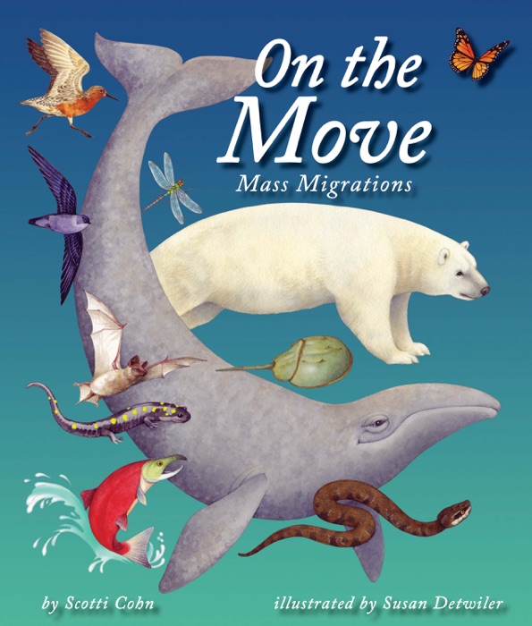 On the Move: Mass Migrations