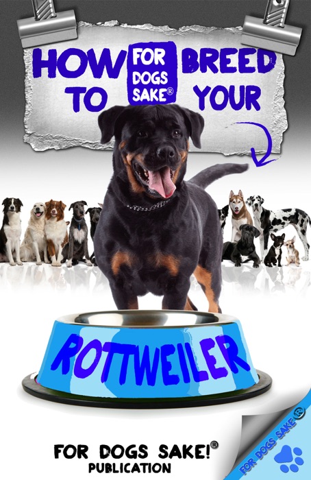 How to Breed your Rottweiler